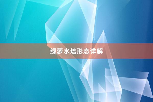 绿萝水培形态详解