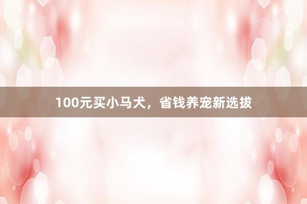 100元买小马犬，省钱养宠新选拔