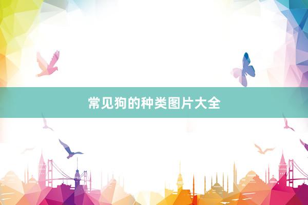 常见狗的种类图片大全